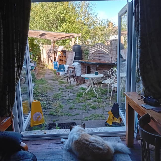 Vegetarian House. Big garden. Close to DMU. Main Photo