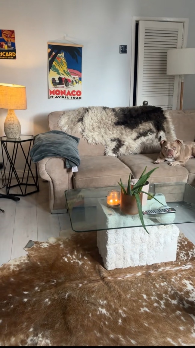 Room with bills inc - must like dogs please read  Main Photo