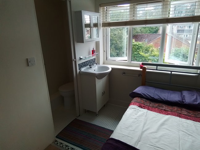 Sunny ensuite room in large comfortable house   Main Photo