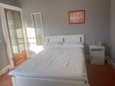 Double Rm in Shared Flat near Station/Botanic Gdns Main Photo