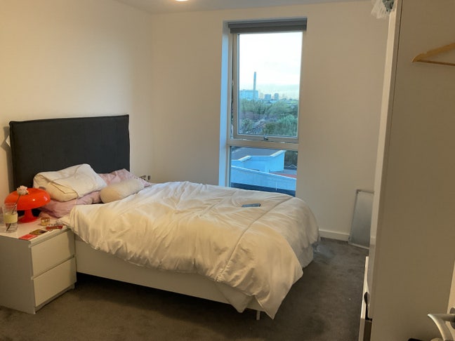 Double room in lovely flatshare New Cross Main Photo