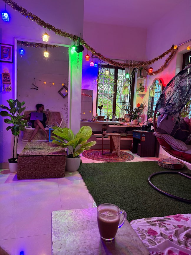 Room Wanted Near Sussex – Boho Vibes, Plants & Tea Main Photo