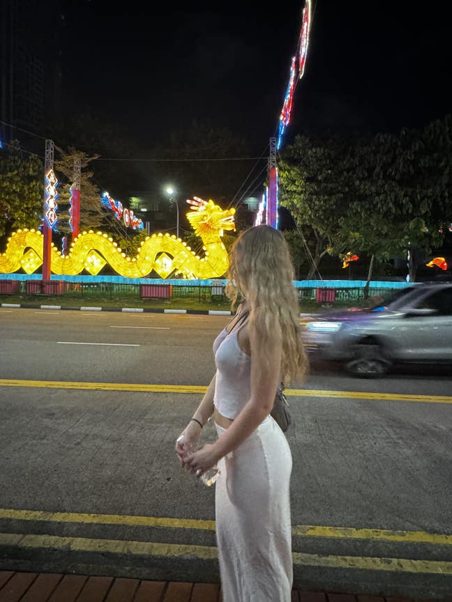 I am a female student aged 21. I am looking f... Main Photo