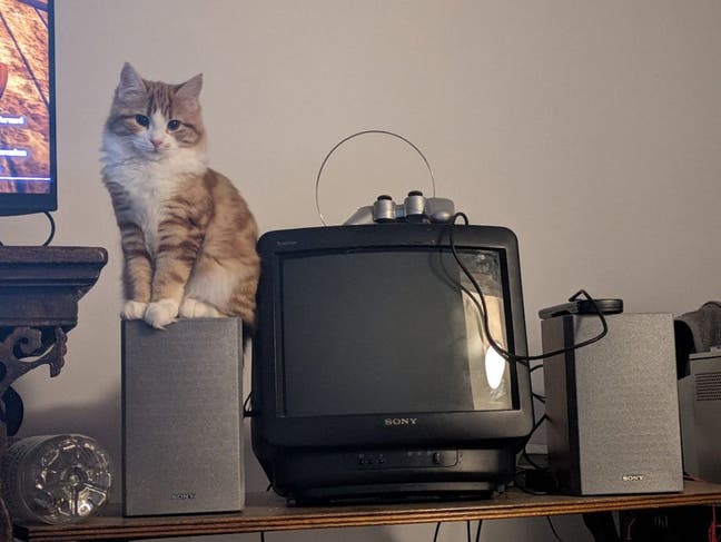 Room or buddy up wanted in East Sussex Main Photo