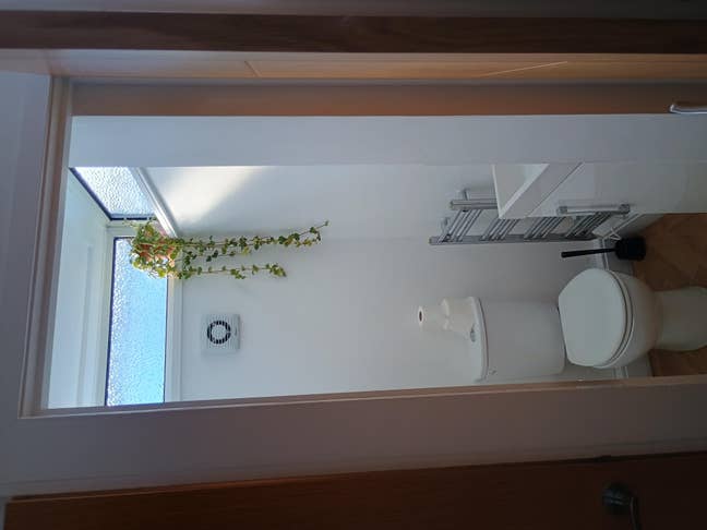 Entire house (almost all the time) with garden!  Main Photo