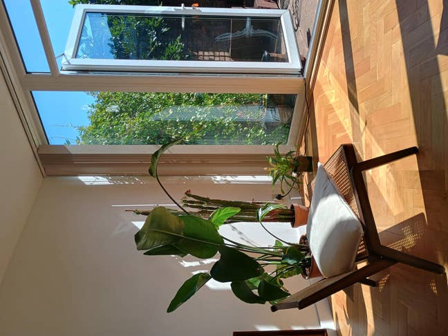 Entire house (almost all the time) with garden!  Main Photo