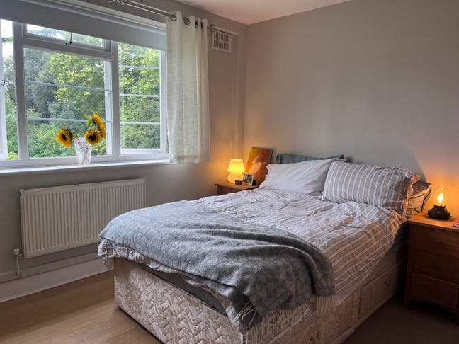 Double room in a lovely flat with a balcony Main Photo