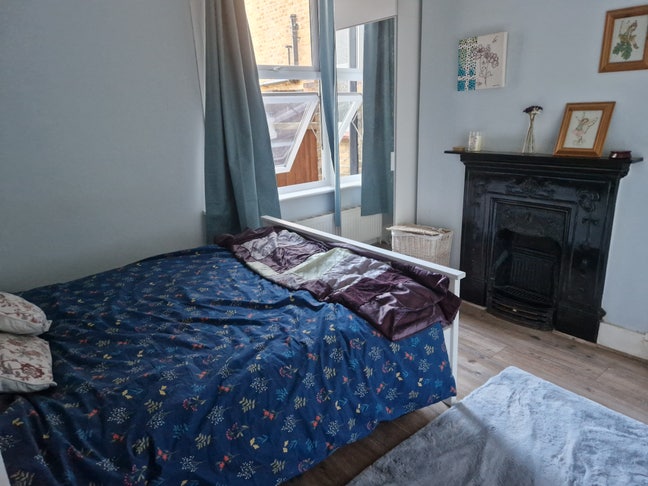 Cat Lover Required to Share Spacious Flat Main Photo