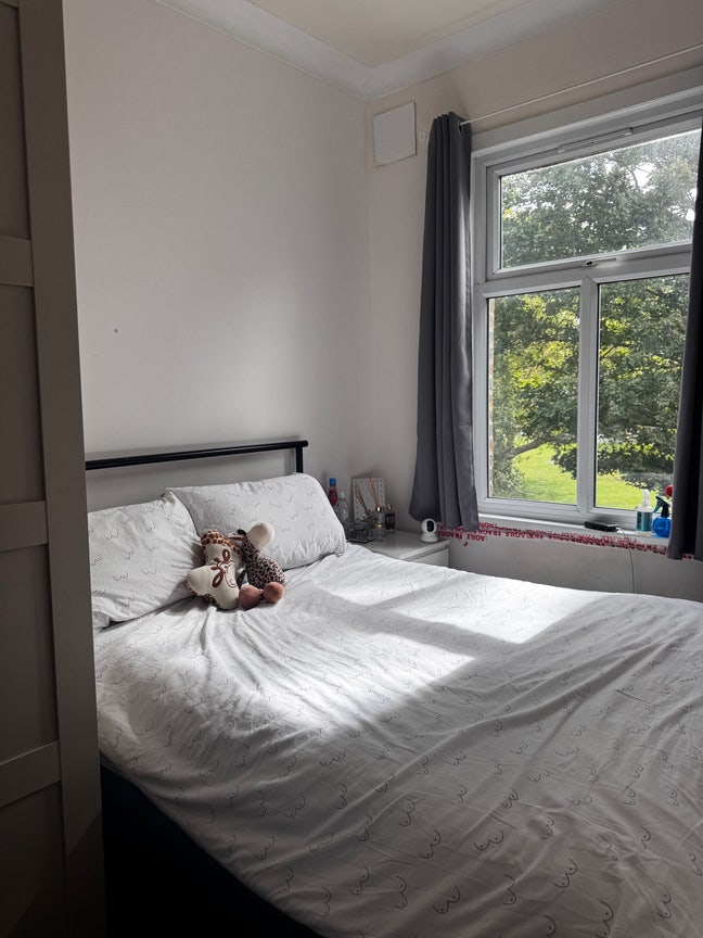 Double room available  Main Photo
