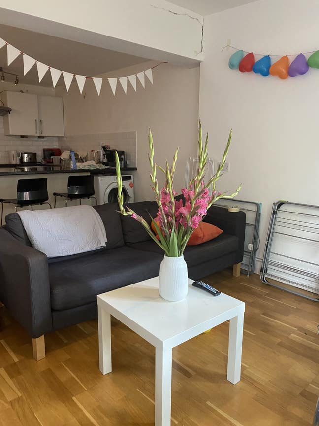 A nice double room, friendly house,Shepherd's Bush Main Photo