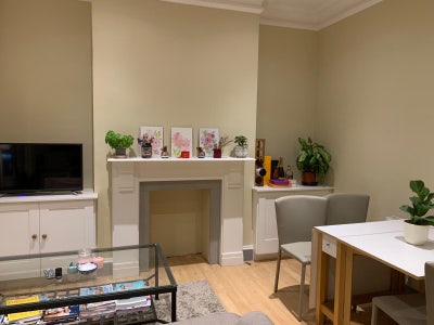 Lovely en-suite in friendly Fulham flat Main Photo