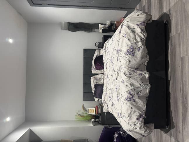 Luxury and Exquisite Studio Flat Available  Main Photo