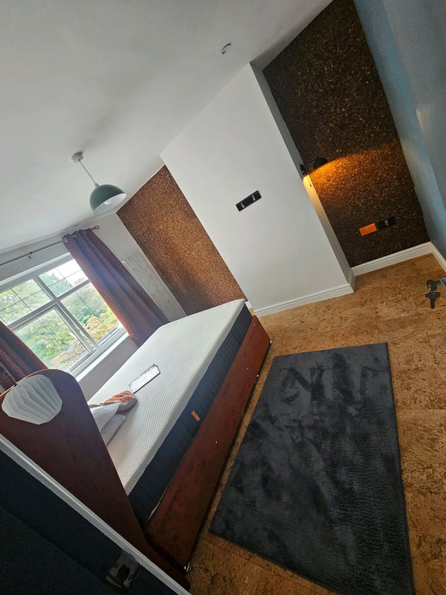 Newly Renovated Maximalist House Main Photo