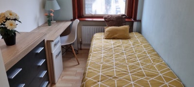 Spacious Single Room in Cricklewood Broadway Main Photo