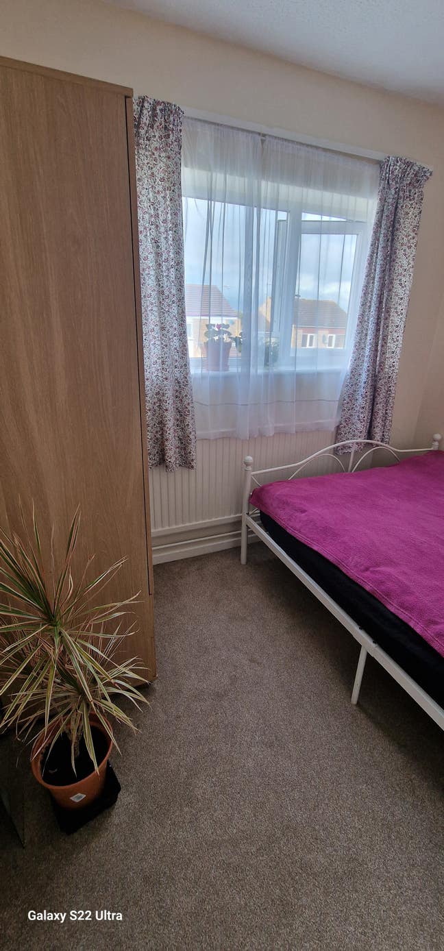 Single room for rent  Main Photo