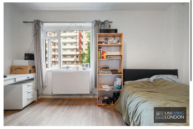 Lovely three flat walking distance to UCL Main Photo