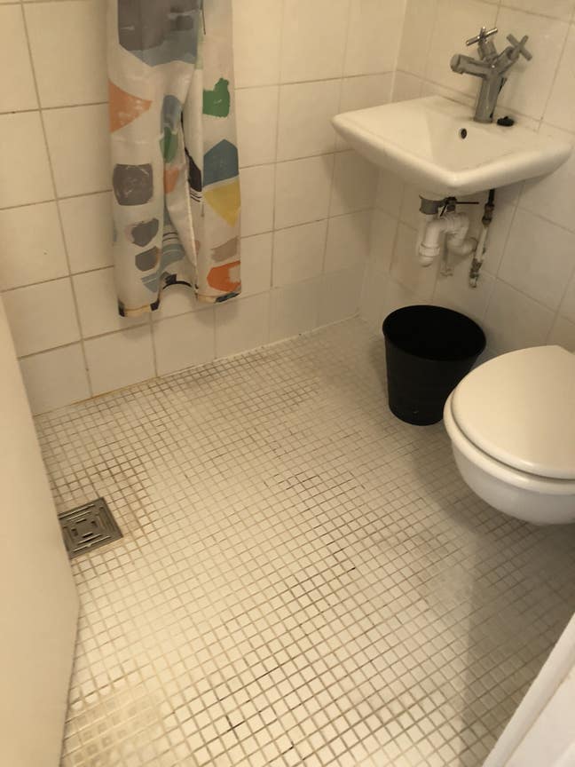 2 bedroom flat, great location, Shepherd's Bush Main Photo