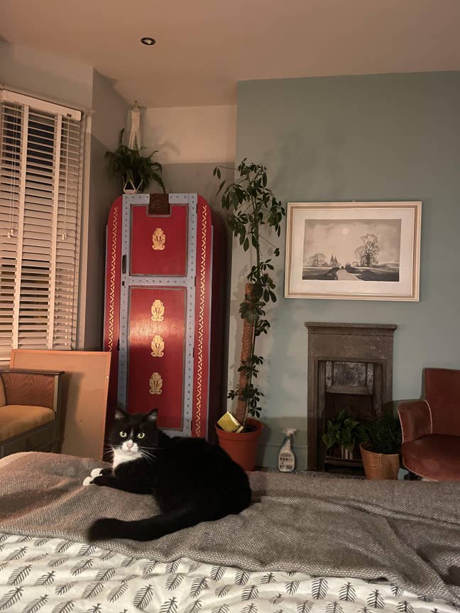 Short-term let for beautiful house (read ad!) Main Photo