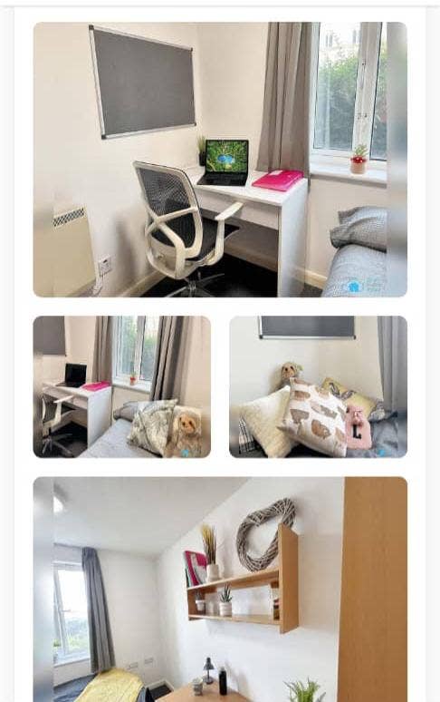 Room available immediately at Rochester  Main Photo