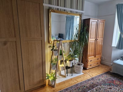 Large Dbl Room to let in a family home from 20/12 Main Photo