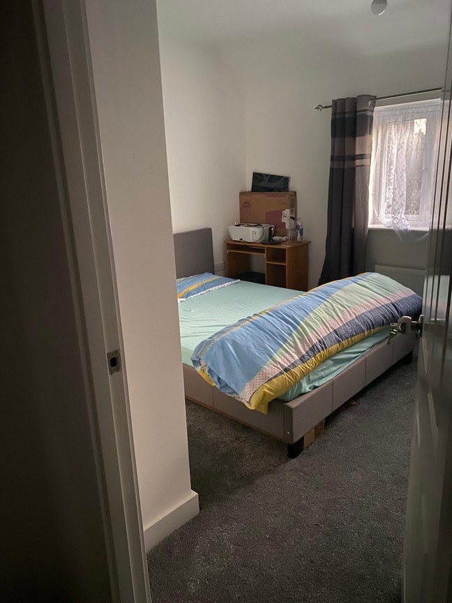 Room Available for Vegetarians/Vegans Main Photo