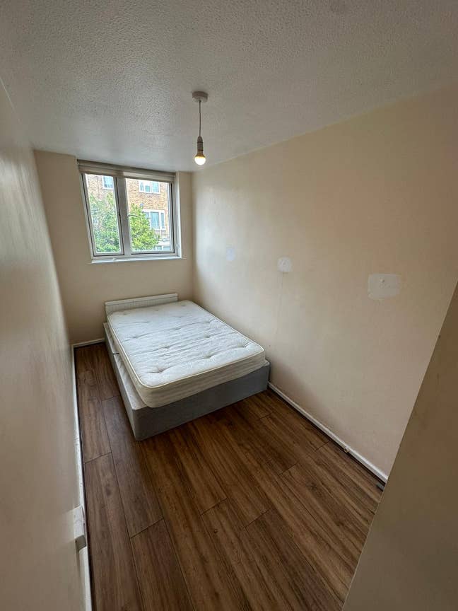 Room available now in nice house, 2 baths Main Photo