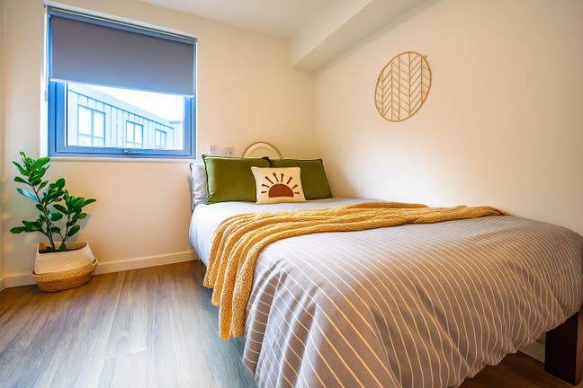 🌟 Classic Studio – Your Perfect Student Home 🌟 Main Photo