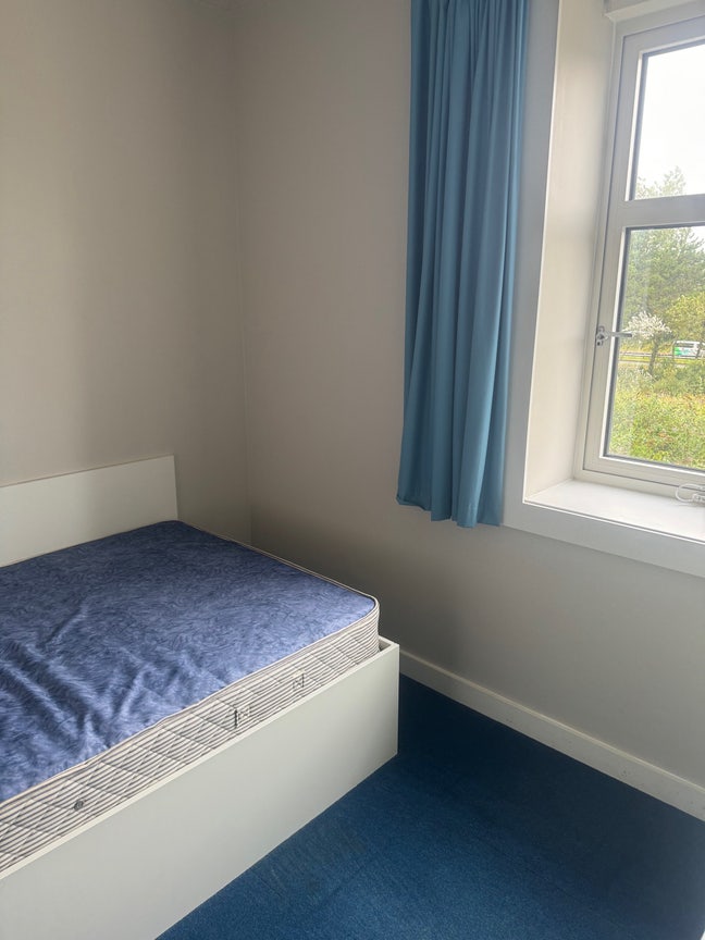 A single room in a 3 bedroom house  Main Photo