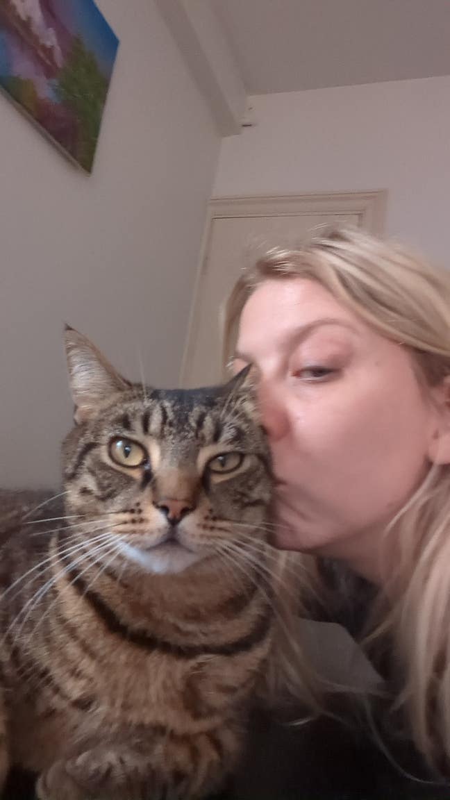 Female and cute cat looking for flat share Main Photo
