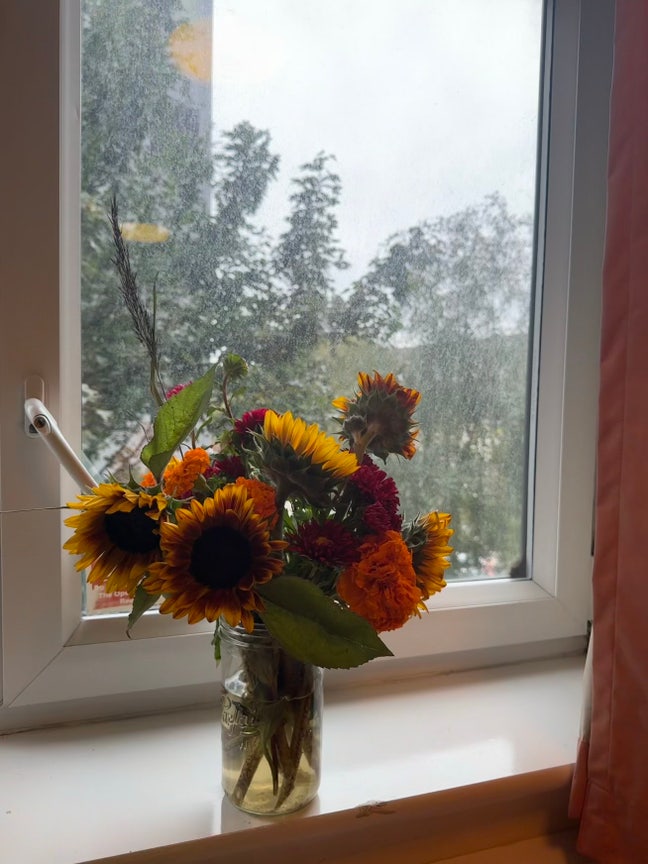 Ensuite Room at Belgrave View – All Bills Included Main Photo