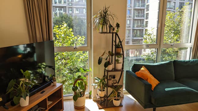 Bright Double Room | East Village | Early Nov Main Photo
