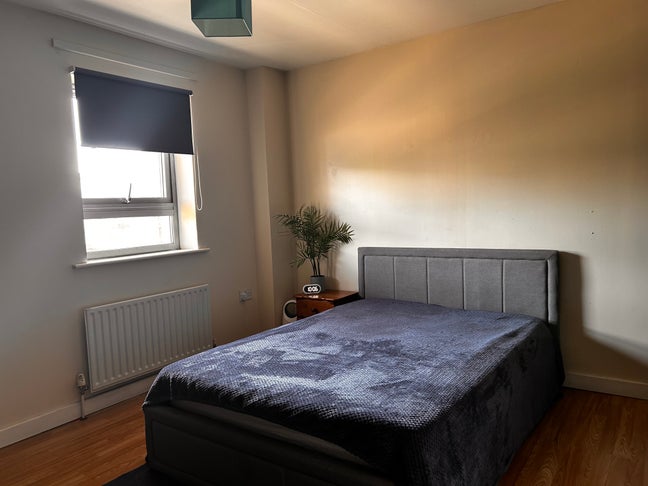 A spacious room for a female in great location  Main Photo