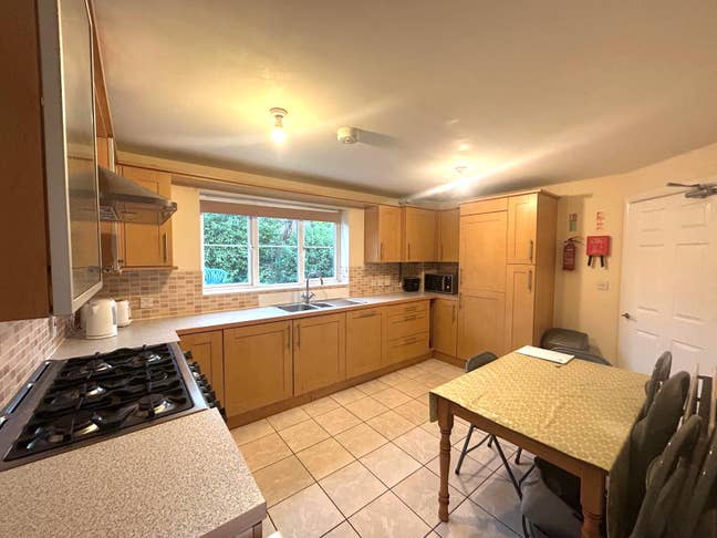 Professional Houseshare Ready Now (Bbw) Main Photo