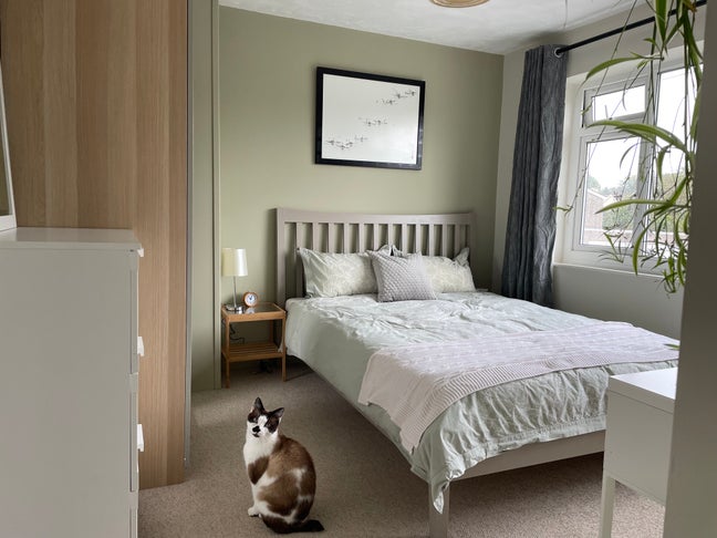 Lovely room for Bristol/Langford Vet Student Main Photo