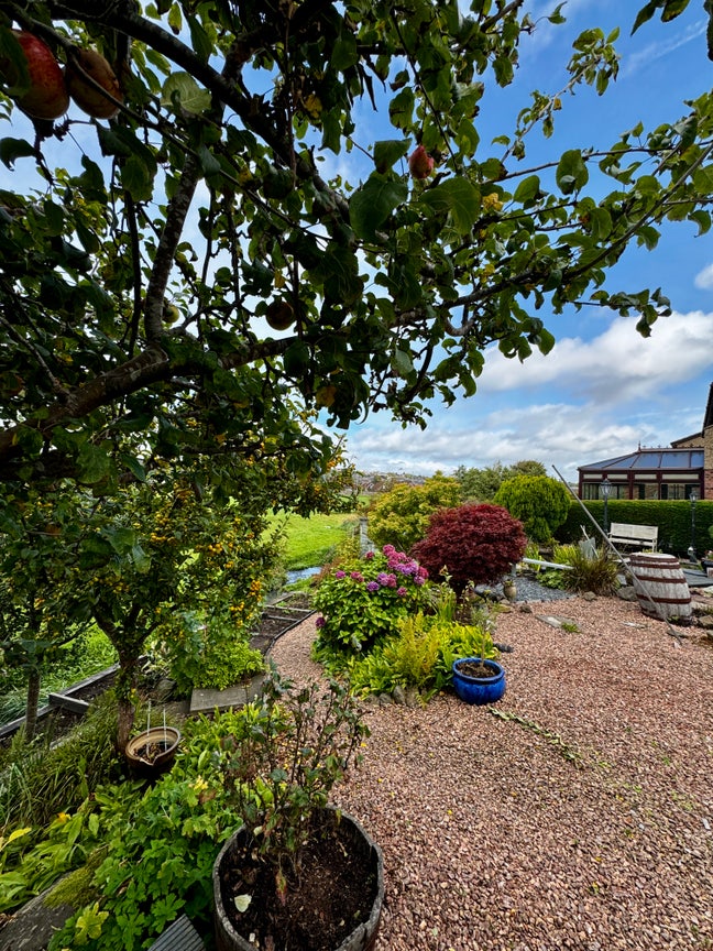 Room for rent in spacious home - ready for mid Oct Main Photo