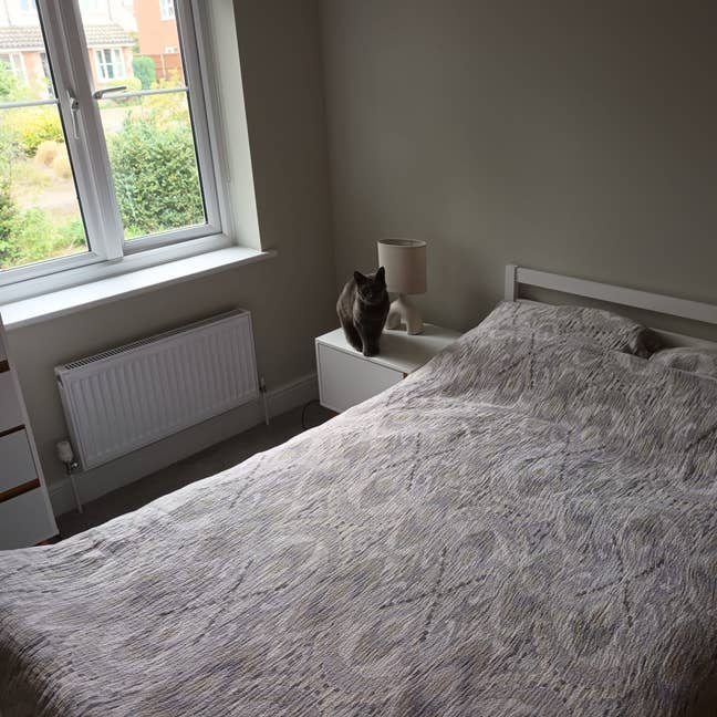 Lovely room in the village of Wenhaston  Main Photo