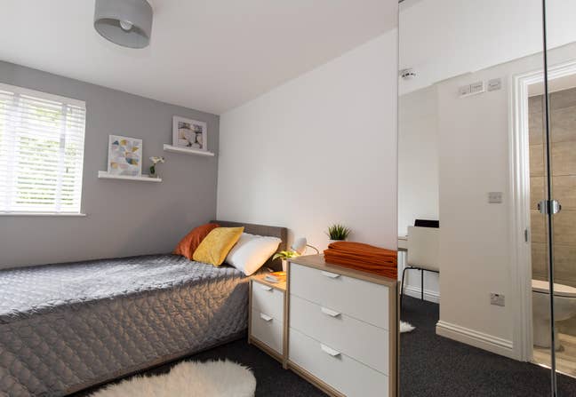 Fabulous En Suite Avail 1st Nov! Main Photo