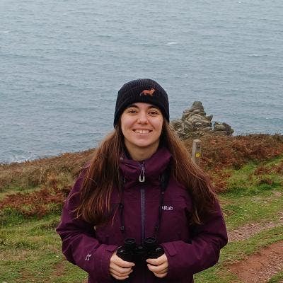 25 y/o professional looking for a room Main Photo