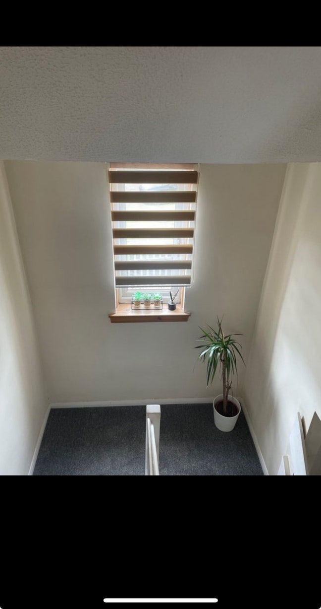 Room to let  Main Photo