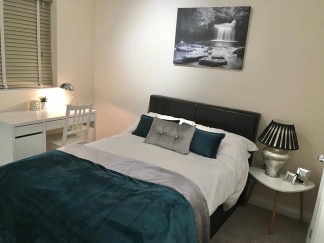 Stylish friendly houseshare, lovely garden & shed Main Photo