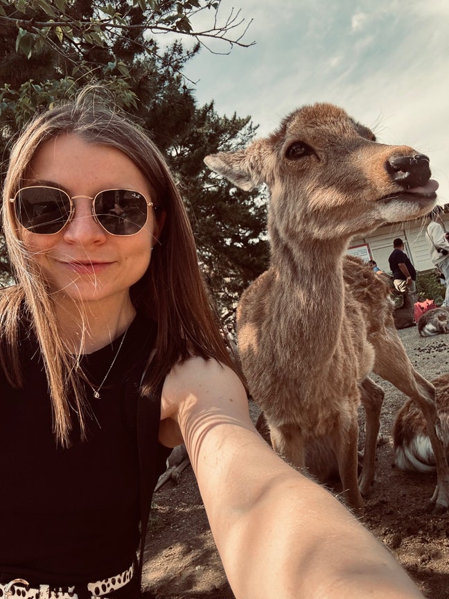 Looking for a room in SW London. Main Photo