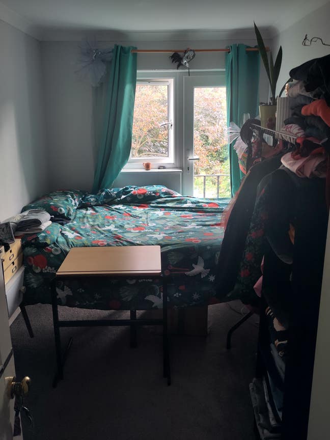 Bright Single Room in Friendly Vegan Household! Main Photo