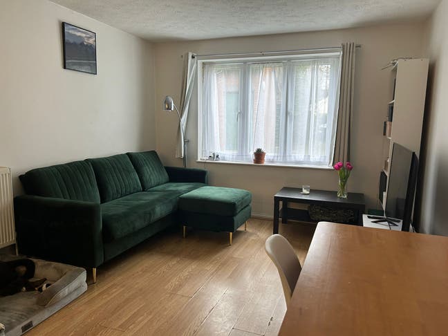 Pet Friendly 1 Bed to Rent - SE12 Main Photo