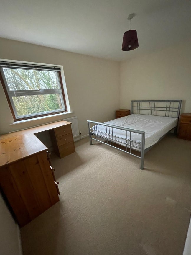 Female Buddy for Spacious  2Bed Flat(Max 2 Per) Main Photo