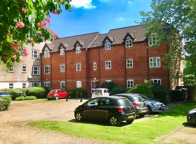 Double room in a 2 bed flat share in a leafy & qui Main Photo