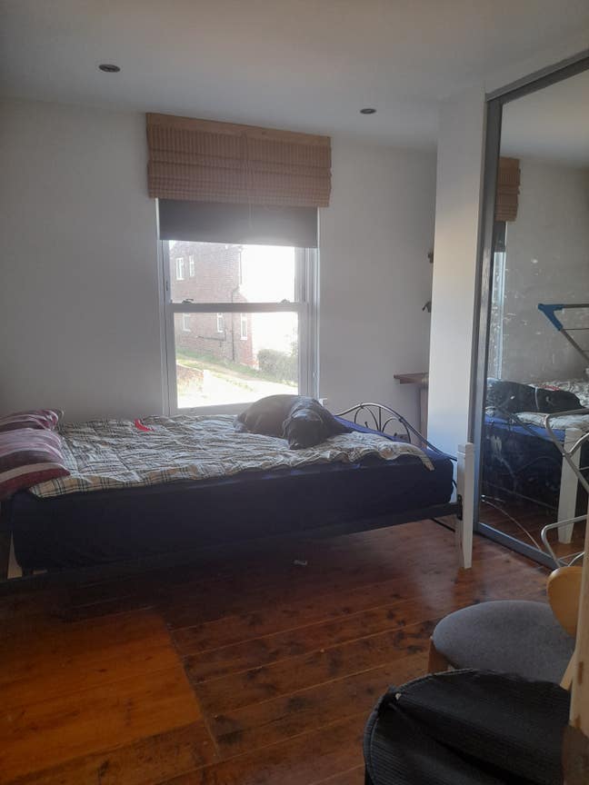 Wonderful house, cool back garden and a nice room. Main Photo