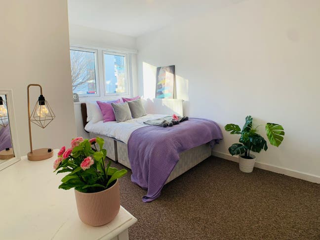 Modern 4-Bed Apartment Main Photo