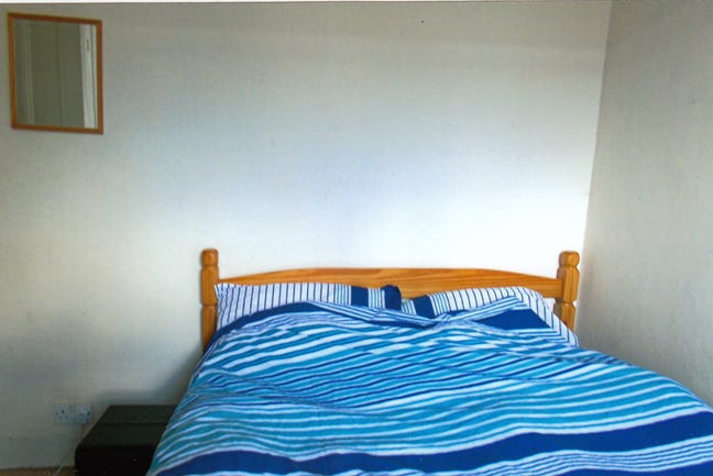 Professional female looking housemate  Main Photo