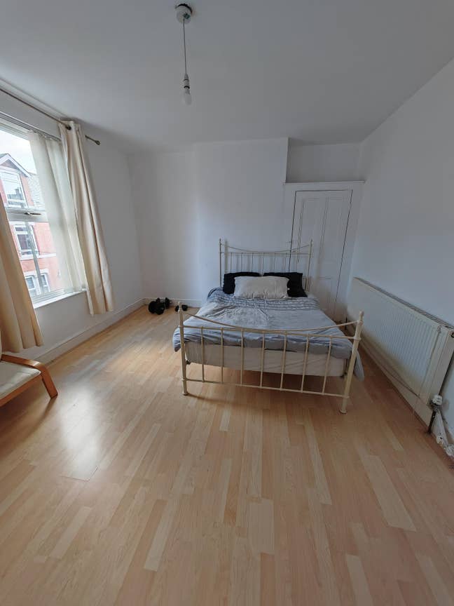 Spacious King Room Available  Main Photo