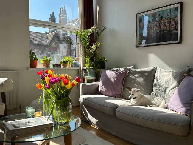 1 Room in 2 Bedroom Flat in Earlsfield  Main Photo